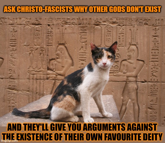 This #lolcat wonders if arguments against the existence of a deity are valid for all deities | ASK CHRISTO-FASCISTS WHY OTHER GODS DON'T EXIST; AND THEY'LL GIVE YOU ARGUMENTS AGAINST THE EXISTENCE OF THEIR OWN FAVOURITE DEITY | image tagged in deity,lolcat,gods,christianity,arguments | made w/ Imgflip meme maker