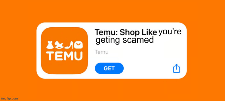 in my opinion temu is a scam | image tagged in temu,scam,internet scam | made w/ Imgflip meme maker