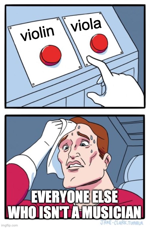 what's the difference | viola; violin; EVERYONE ELSE WHO ISN'T A MUSICIAN | image tagged in memes,two buttons | made w/ Imgflip meme maker