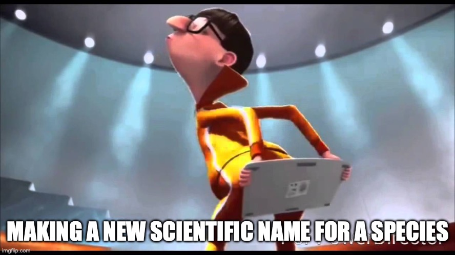 vector Keyboard | MAKING A NEW SCIENTIFIC NAME FOR A SPECIES | image tagged in vector keyboard | made w/ Imgflip meme maker
