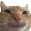 Swaghappy Meme Template