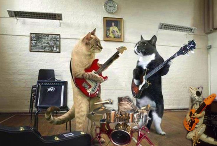 Chrisjoines1 Blank Meme Template