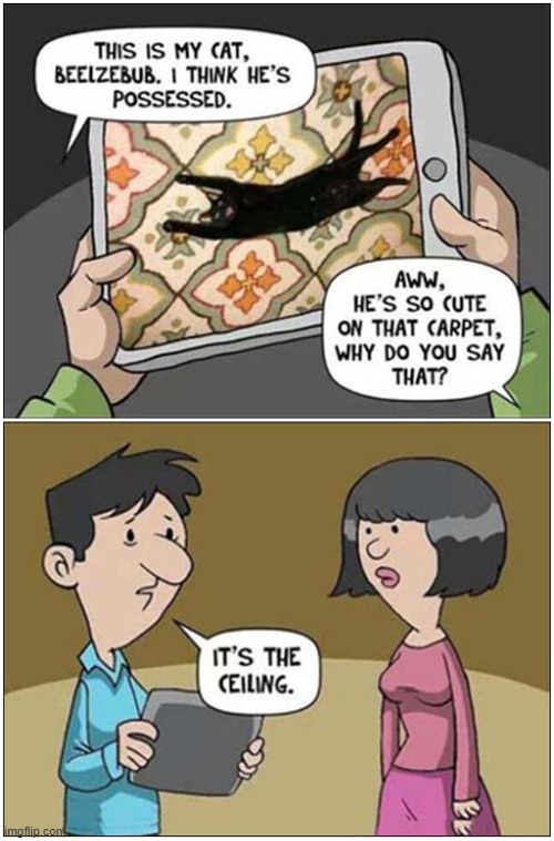 Be Afraid ... Very Afraid ! | image tagged in cats,be afraid,possessed | made w/ Imgflip meme maker