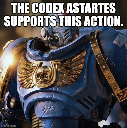space marine morale | THE CODEX ASTARTES SUPPORTS THIS ACTION. | image tagged in space marine morale | made w/ Imgflip meme maker