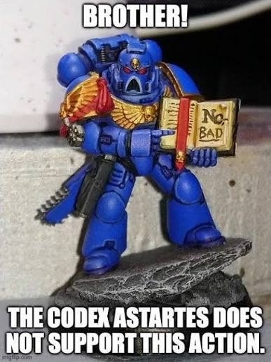 Brother the Codex Astartes does not support this action Blank Meme Template