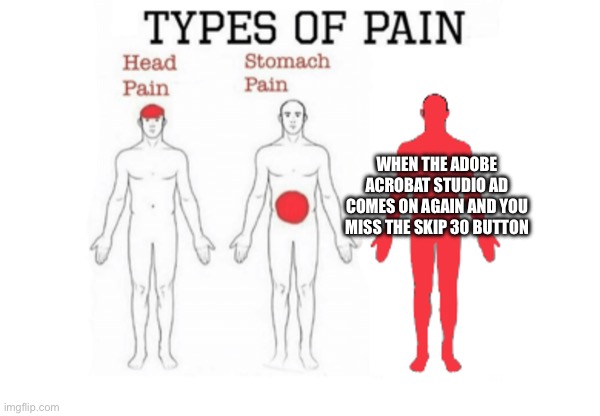 Types of Pain | WHEN THE ADOBE ACROBAT STUDIO AD COMES ON AGAIN AND YOU MISS THE SKIP 30 BUTTON | image tagged in types of pain,podcast,ads,sound,annoying | made w/ Imgflip meme maker