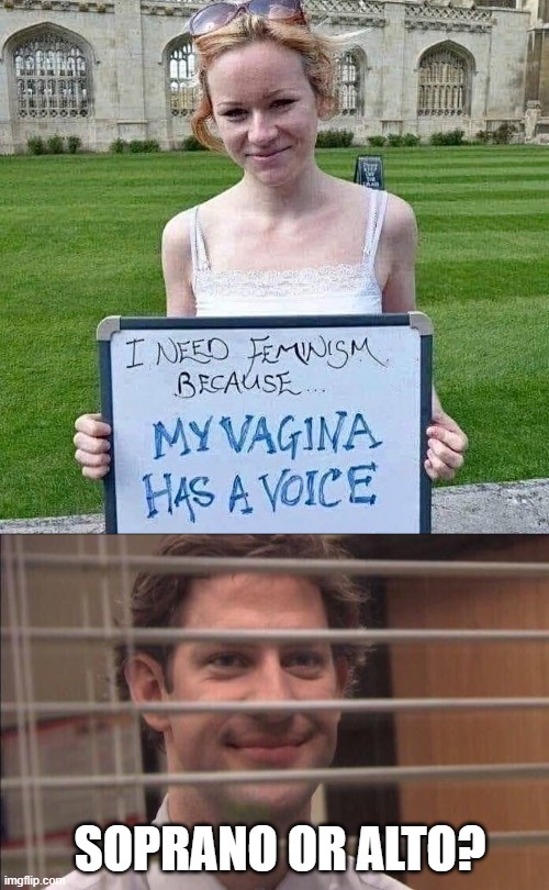 Make It Sing | SOPRANO OR ALTO? | image tagged in jim halpert smirking | made w/ Imgflip meme maker