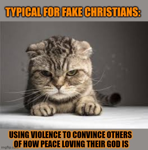This #lolcat wonders why people use violence to convince others of how peace loving their god is | TYPICAL FOR FAKE CHRISTIANS:; USING VIOLENCE TO CONVINCE OTHERS 
OF HOW PEACE LOVING THEIR GOD IS | image tagged in god,peace,lolcat,religion,violence,conservative hypocrisy | made w/ Imgflip meme maker
