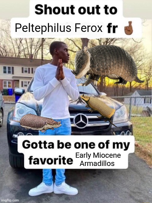 Armadillos GOATED fr | Peltephilus Ferox; Early Miocene Armadillos | image tagged in shout out to gotta be one of my favorite genders,memes,dinosaurs,history memes,funny,lol | made w/ Imgflip meme maker