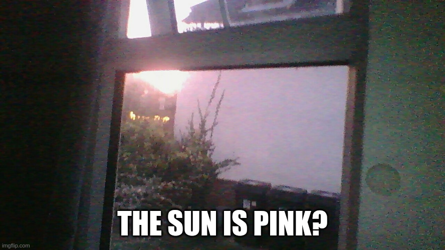 Pink sky at night; shepherd's confusion (laptop camera) | THE SUN IS PINK? | image tagged in sun,photography,pink | made w/ Imgflip meme maker