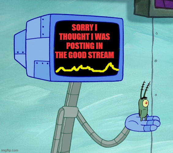 karen | SORRY I THOUGHT I WAS POSTING IN THE GOOD STREAM | image tagged in karen | made w/ Imgflip meme maker