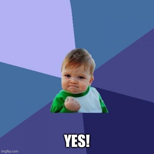Success Kid Meme | YES! | image tagged in memes,success kid | made w/ Imgflip meme maker