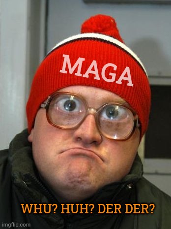 blind duh | MAGA WHU? HUH? DER DER? | image tagged in blind duh | made w/ Imgflip meme maker