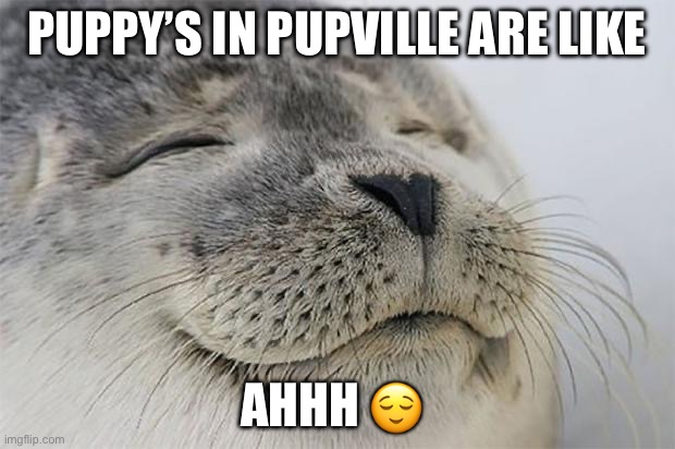 Puppy’s in oupvile | PUPPY’S IN PUPVILLE ARE LIKE; AHHH 😌 | image tagged in memes,satisfied seal | made w/ Imgflip meme maker