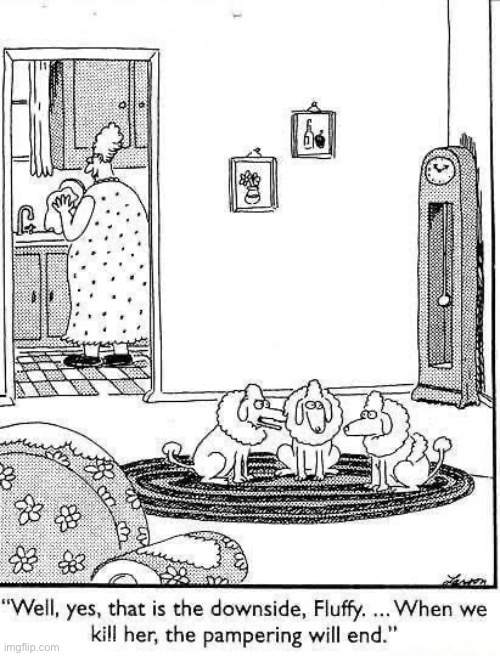 Perhaps they should rethink their decision… | image tagged in the far side,comics,dogs,poodles,murder plot | made w/ Imgflip meme maker