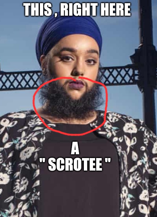 woke memes | THIS , RIGHT HERE; A 

" SCROTEE " | image tagged in beard | made w/ Imgflip meme maker