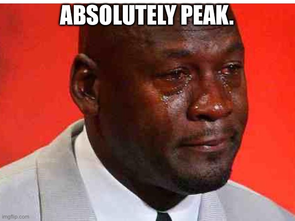 ABSOLUTELY PEAK. | made w/ Imgflip meme maker