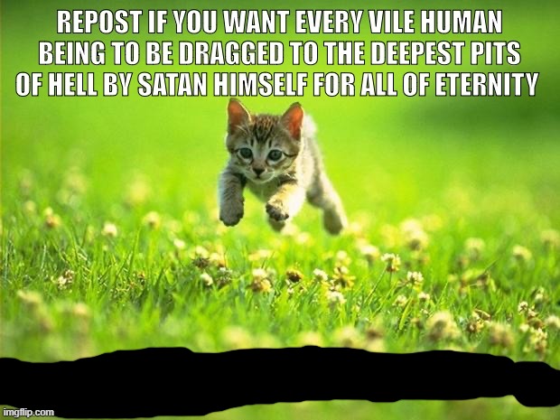 i hate cars | image tagged in repost if you think this cat is cute | made w/ Imgflip meme maker