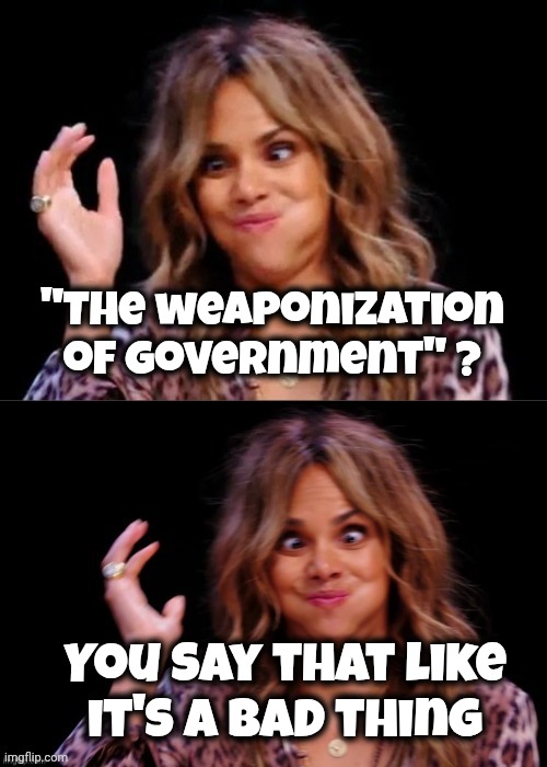 Lovely Halle Berry | "The weaponization of Government" ? You say that like
it's a bad thing | image tagged in lovely halle berry | made w/ Imgflip meme maker