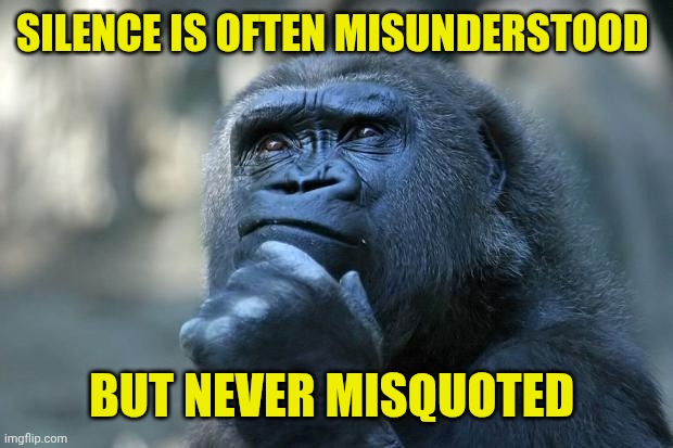 Deep Thoughts | SILENCE IS OFTEN MISUNDERSTOOD; BUT NEVER MISQUOTED | image tagged in deep thoughts | made w/ Imgflip meme maker