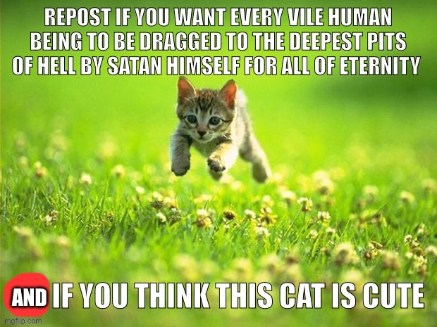 Repost if you think this cat is cute | AND | image tagged in repost if you think this cat is cute | made w/ Imgflip meme maker