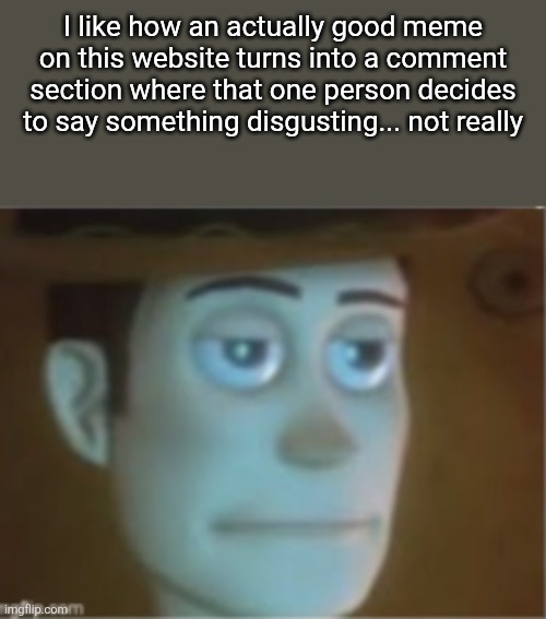 Woody Dissappinted Stare | I like how an actually good meme on this website turns into a comment section where that one person decides to say something disgusting... not really | image tagged in woody dissappinted stare | made w/ Imgflip meme maker