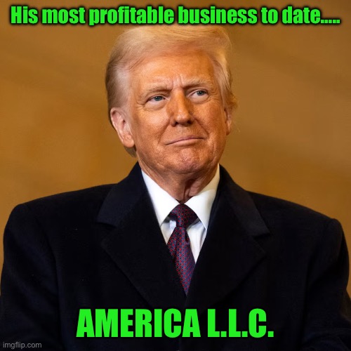 His most profitable business to date….. AMERICA L.L.C. | made w/ Imgflip meme maker