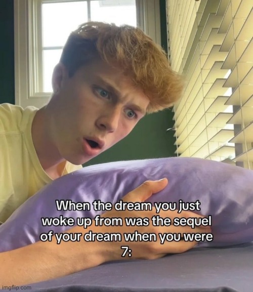 image tagged in dream | made w/ Imgflip meme maker
