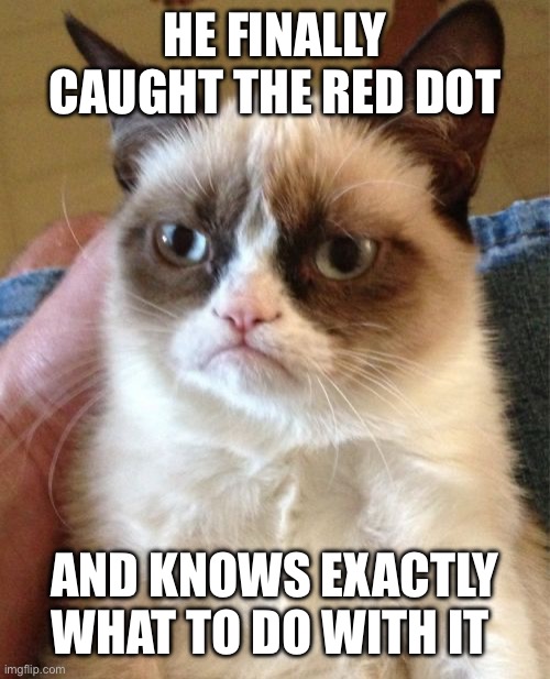 Grumpy Cat Meme | HE FINALLY CAUGHT THE RED DOT AND KNOWS EXACTLY WHAT TO DO WITH IT | image tagged in memes,grumpy cat | made w/ Imgflip meme maker