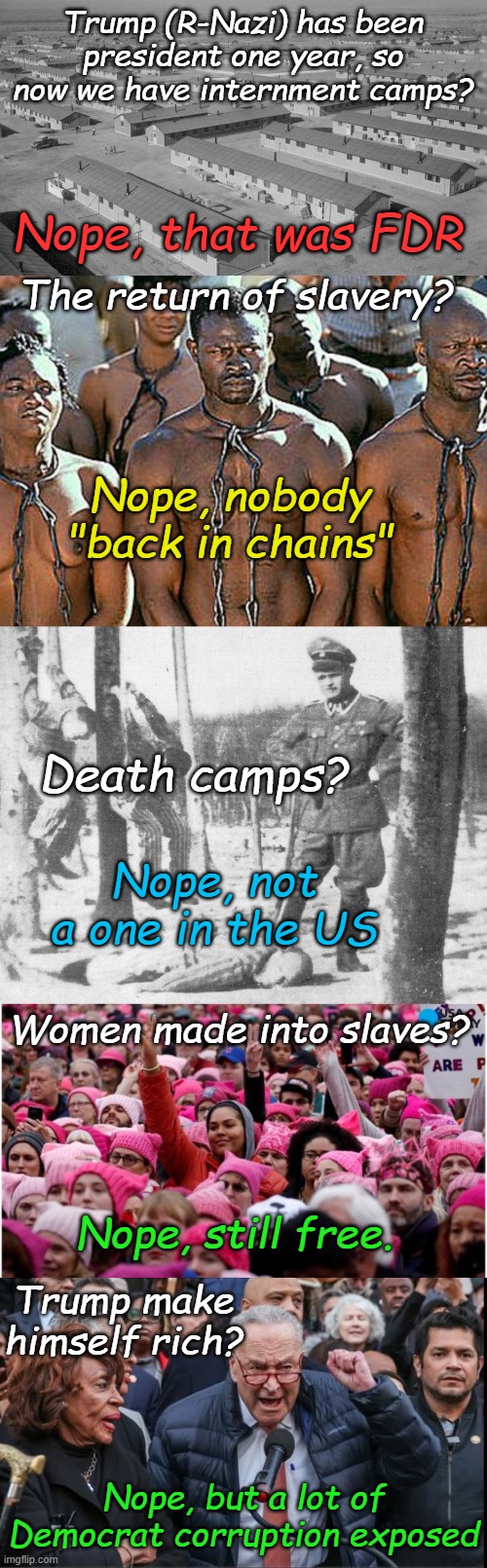 Trump has been the worst Nazi Ever! Over Eleven months and not one fascist accomplishment | Trump (R-Nazi) has been president one year, so now we have internment camps? Nope, that was FDR; The return of slavery? Nope, nobody "back in chains"; Death camps? Nope, not a one in the US; Women made into slaves? Nope, still free. Trump make himself rich? Nope, but a lot of Democrat corruption exposed | image tagged in japanese internment camp,slavery,nazi death camp guard,pink hats,schumer raskin waters want their money | made w/ Imgflip meme maker