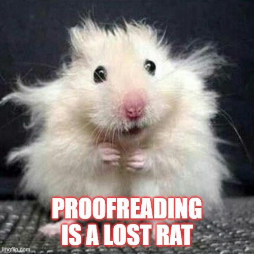 Proofreading | PROOFREADING
IS A LOST RAT | image tagged in stressed mouse,proofreading,art | made w/ Imgflip meme maker