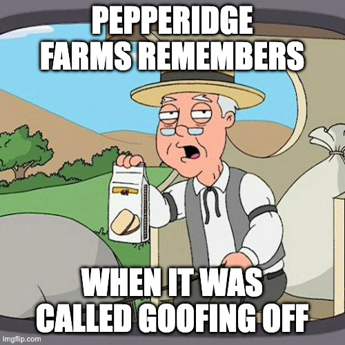 PEPPERIDGE FARMS REMEMBERS WHEN IT WAS CALLED GOOFING OFF | image tagged in memes,pepperidge farm remembers | made w/ Imgflip meme maker