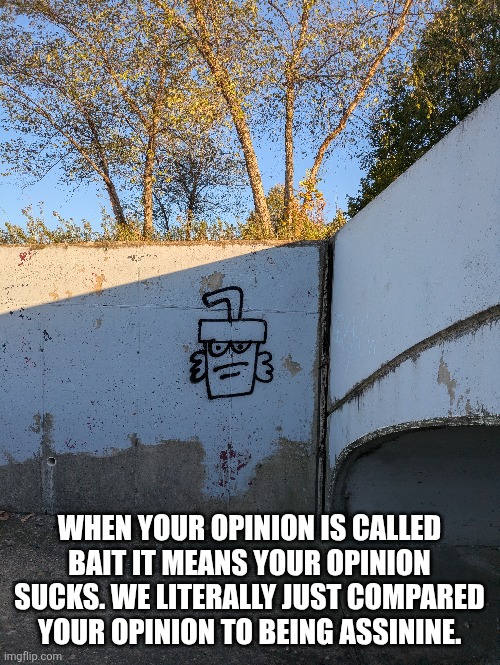 WHEN YOUR OPINION IS CALLED BAIT IT MEANS YOUR OPINION SUCKS. WE LITERALLY JUST COMPARED YOUR OPINION TO BEING ASSININE. | made w/ Imgflip meme maker