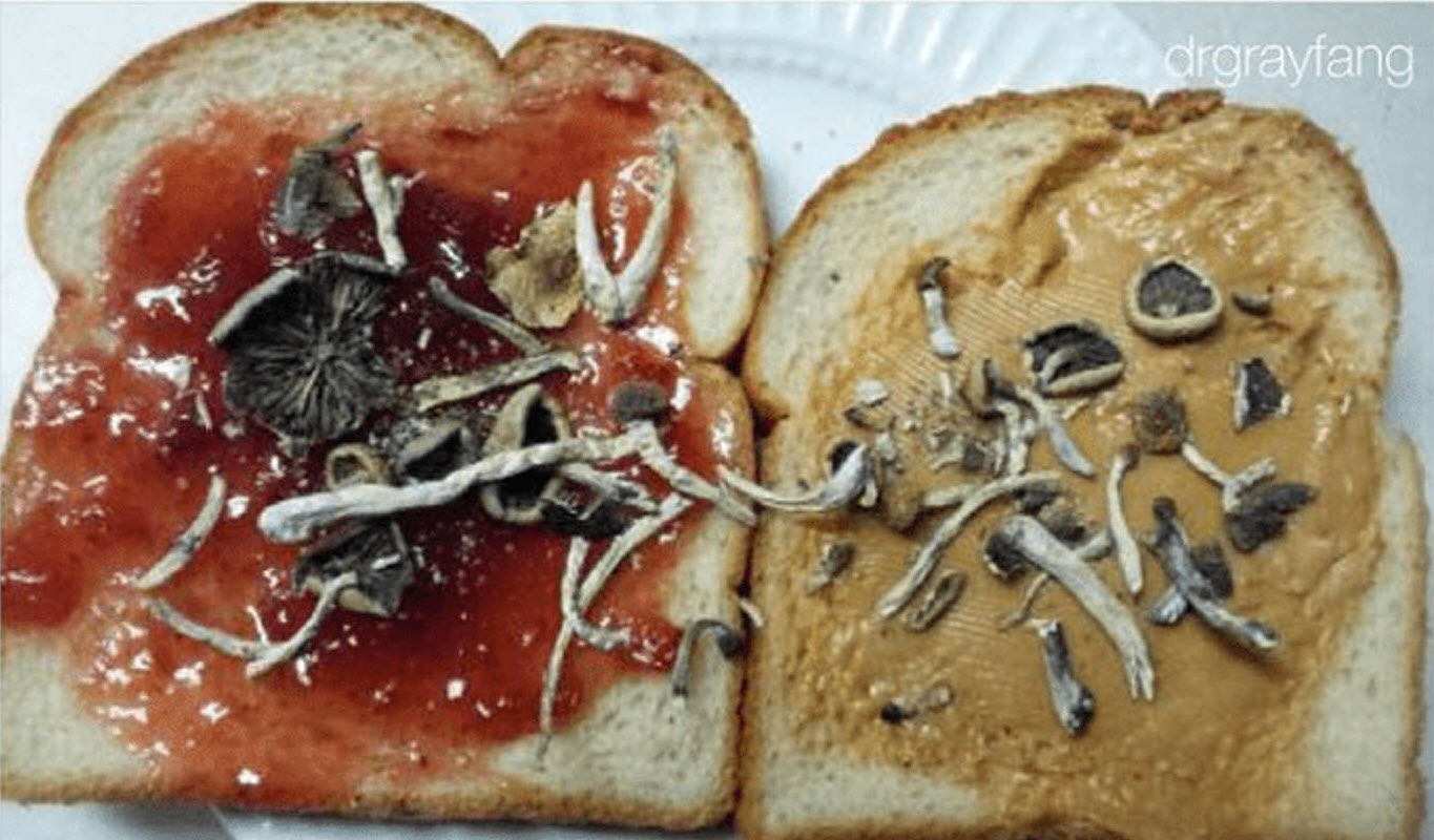 High Quality Mushroom Sandwich Blank Meme Template