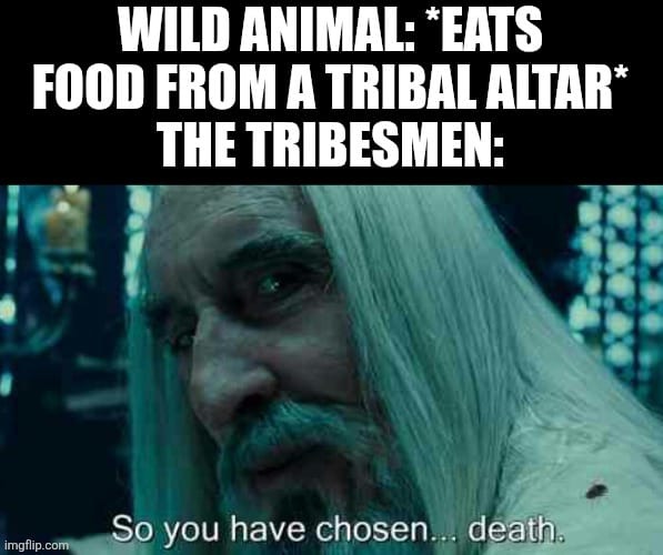 Based on the tribal stage of Spore! | image tagged in animals,food,games,memes,spore,tribe | made w/ Imgflip meme maker