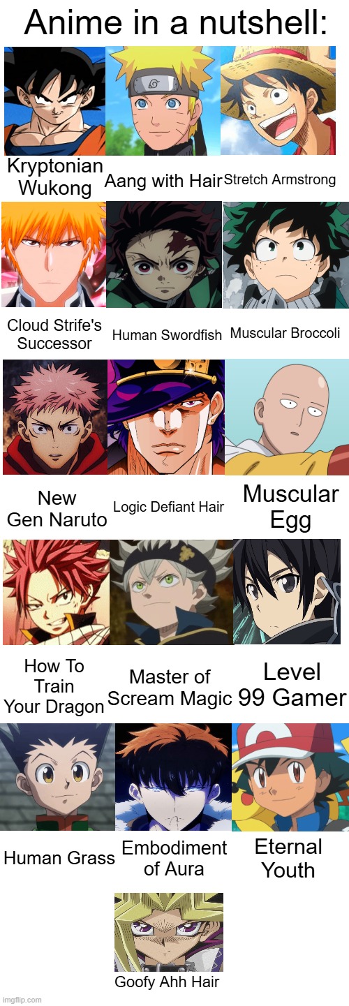 Anime Meme | Anime in a nutshell:; Kryptonian Wukong; Stretch Armstrong; Aang with Hair; Cloud Strife's Successor; Muscular Broccoli; Human Swordfish; Muscular Egg; New Gen Naruto; Logic Defiant Hair; How To Train Your Dragon; Level 99 Gamer; Master of Scream Magic; Human Grass; Embodiment of Aura; Eternal Youth; Goofy Ahh Hair | image tagged in anime,memes,roasts,anime memes,dragon ball | made w/ Imgflip meme maker