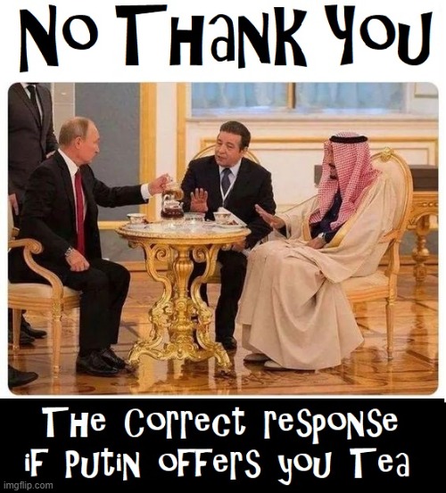 Etiquette at the Kremlin... Careful! | image tagged in vince vance,tea,memes,vladimir putin,no thanks,sheik | made w/ Imgflip meme maker