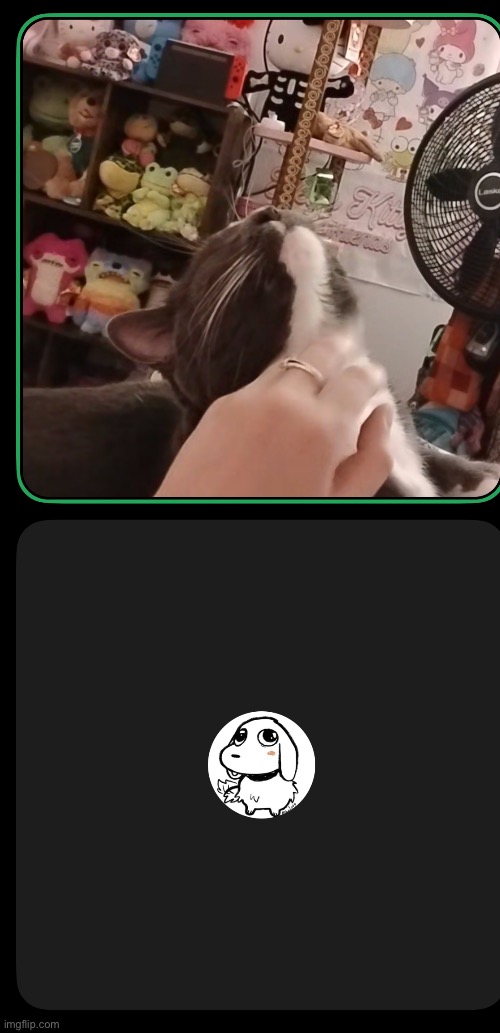 Kill this fucking cat | made w/ Imgflip meme maker