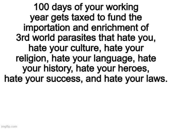 Somali Fraud has been a MASSIVE Red-Pill | 100 days of your working year gets taxed to fund the importation and enrichment of 3rd world parasites that hate you, hate your culture, hate your religion, hate your language, hate your history, hate your heroes, hate your success, and hate your laws. | image tagged in memes,funny,red pill,politics,political meme | made w/ Imgflip meme maker