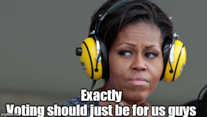 Exactly
Voting should just be for us guys | made w/ Imgflip meme maker