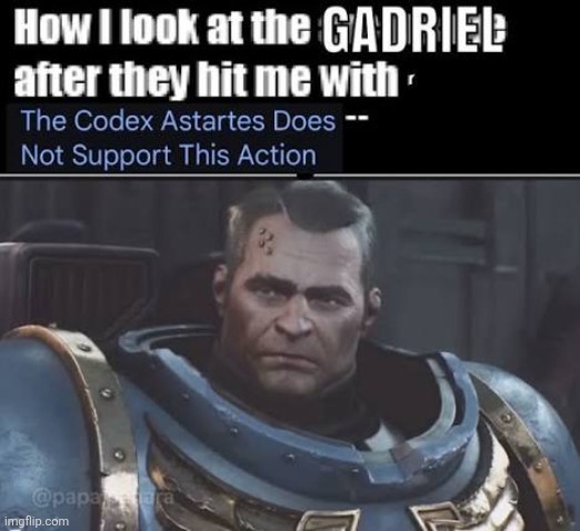 How I look at Gadriel after he hits me with THE CODEX ASTARTES DOES NOT SUPPORT THIS ACTION | image tagged in warhammer 40k | made w/ Imgflip meme maker