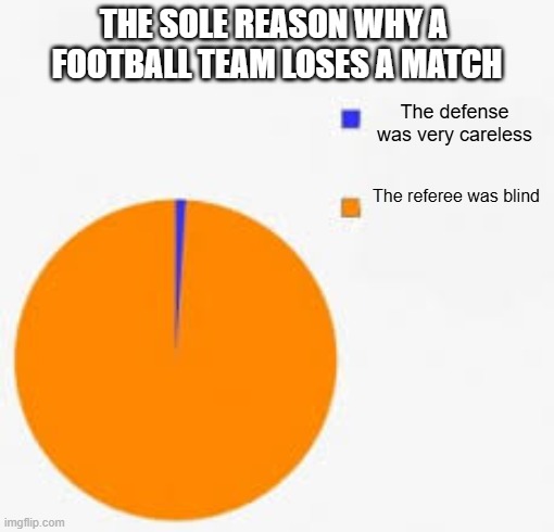 Pie Chart Meme | THE SOLE REASON WHY A  FOOTBALL TEAM LOSES A MATCH; The defense was very careless; The referee was blind | image tagged in pie chart meme | made w/ Imgflip meme maker