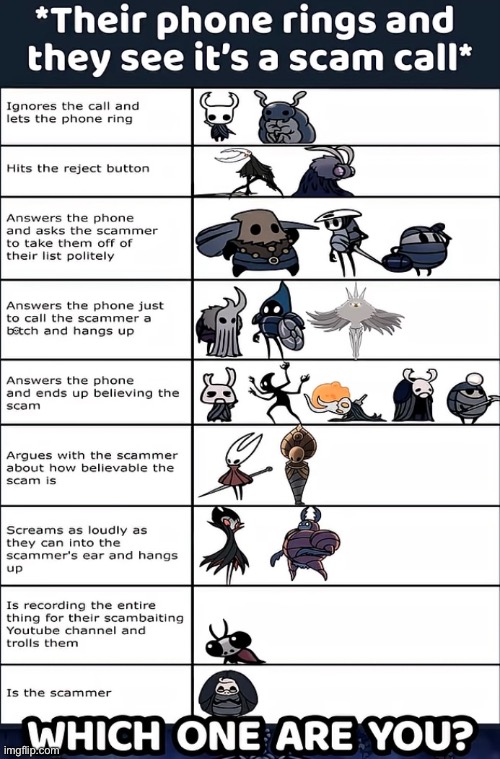 Who are you? Pt.2 | image tagged in hollow knight,silksong,memes | made w/ Imgflip meme maker