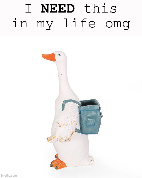 I NEED this in my life omg; NEED | made w/ Imgflip meme maker