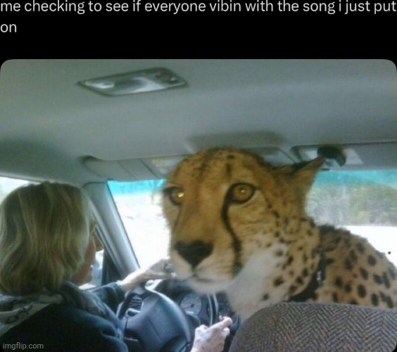 me but war soundtracks | made w/ Imgflip meme maker