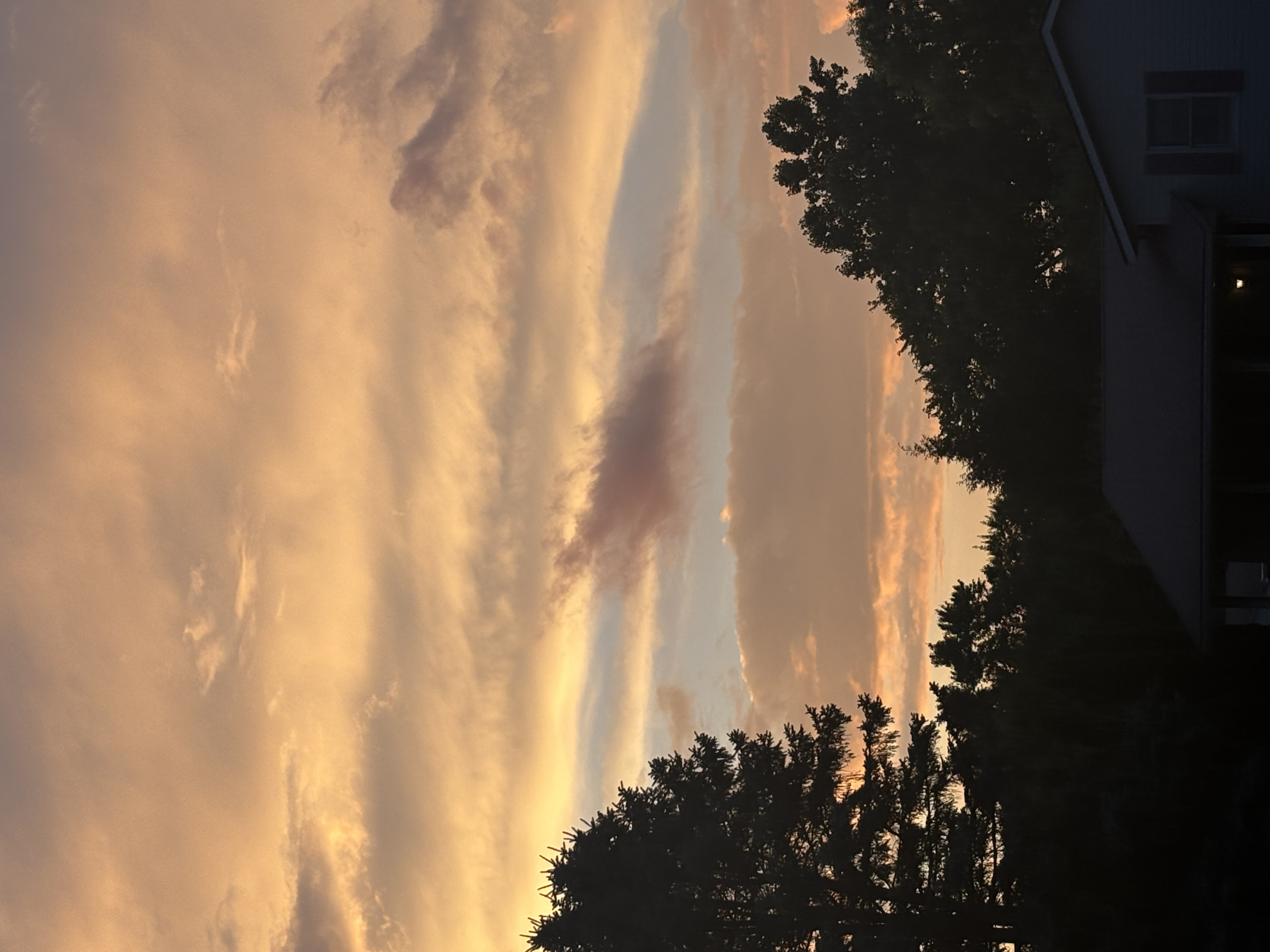 Grammy sam Blank Meme Template