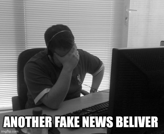 Programmer Facepalm | ANOTHER FAKE NEWS BELIVER | image tagged in programmer facepalm | made w/ Imgflip meme maker