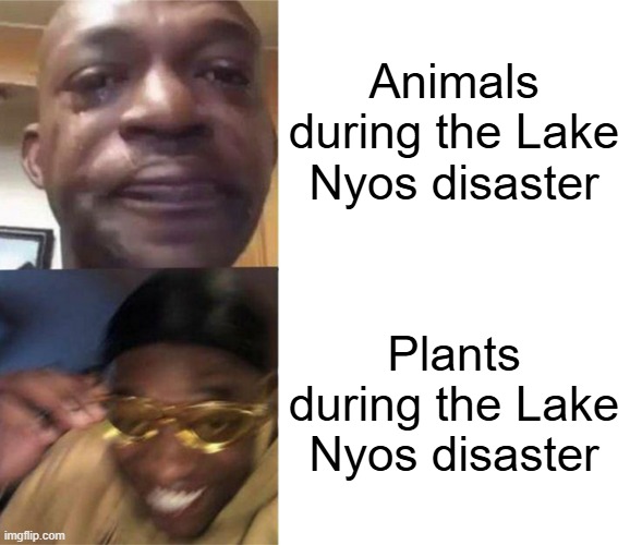 Basically a lake released a ton of CO2 and killed everything around it except plants | Animals during the Lake Nyos disaster; Plants during the Lake Nyos disaster | image tagged in black guy crying and black guy laughing | made w/ Imgflip meme maker