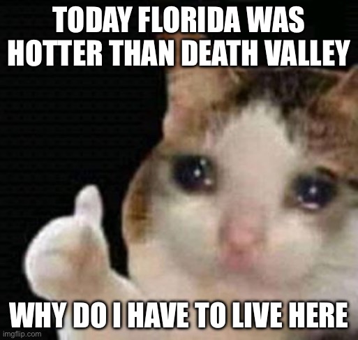 sad thumbs up cat | TODAY FLORIDA WAS HOTTER THAN DEATH VALLEY; WHY DO I HAVE TO LIVE HERE | image tagged in sad thumbs up cat | made w/ Imgflip meme maker