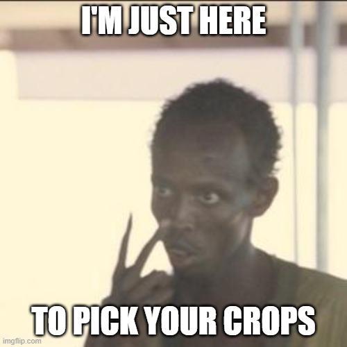 Pirate I'm just here to pick your crops | I'M JUST HERE; TO PICK YOUR CROPS | image tagged in memes,look at me | made w/ Imgflip meme maker
